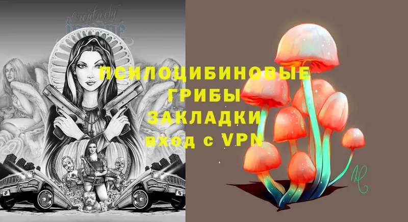 Галлюциногенные грибы MAGIC MUSHROOMS Луза